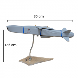 TÜBİTAK SAGE SOM Maket
